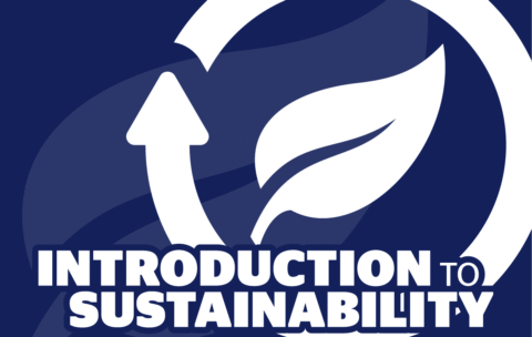 iavm-online_lms_sustainability