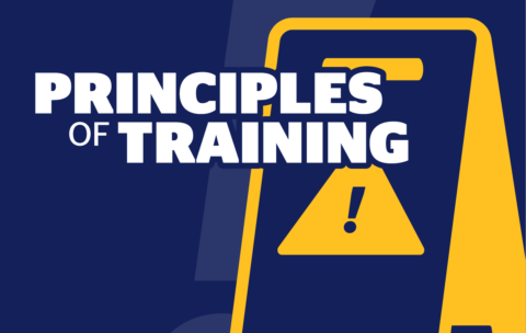 iavm-online_lms_training(1)