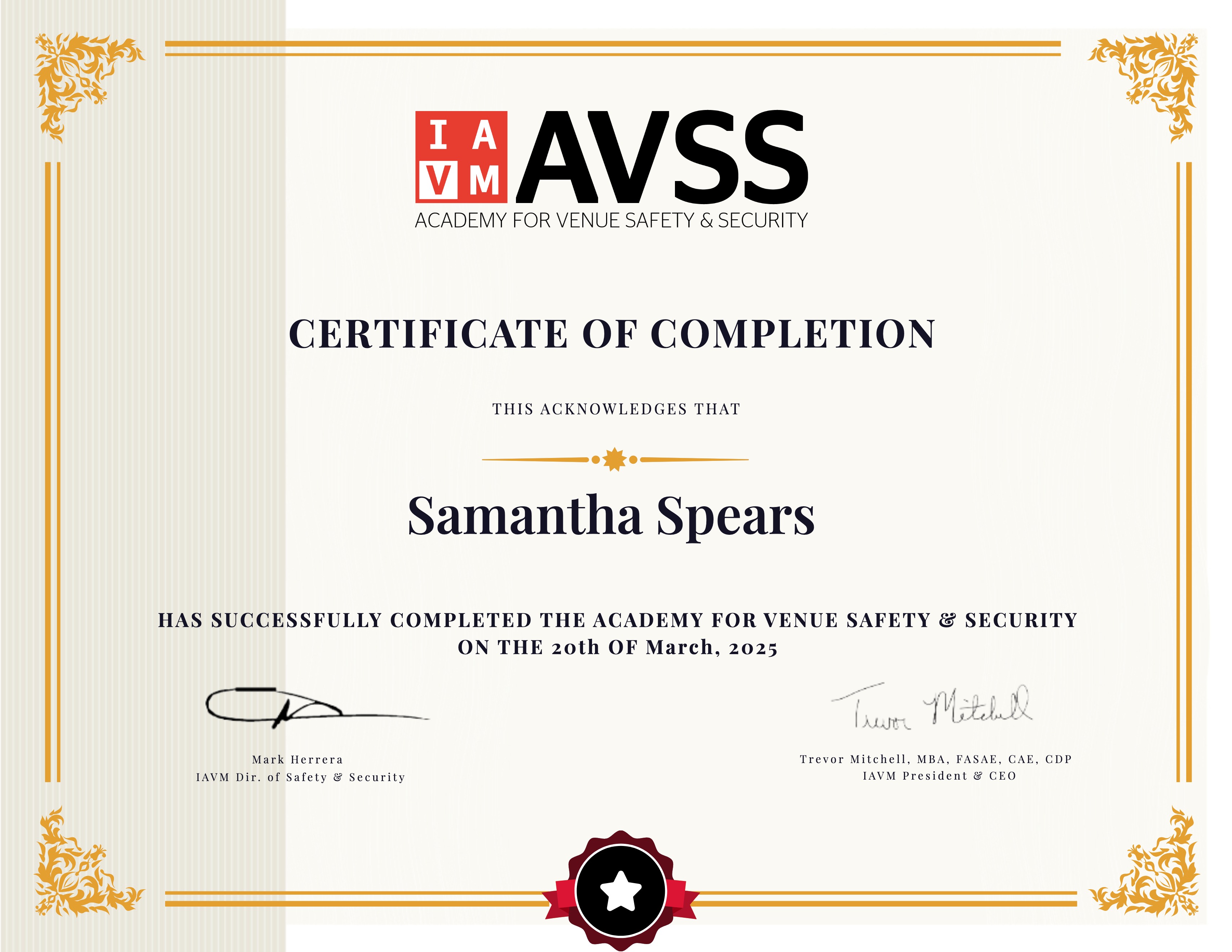 AVSS Year 1