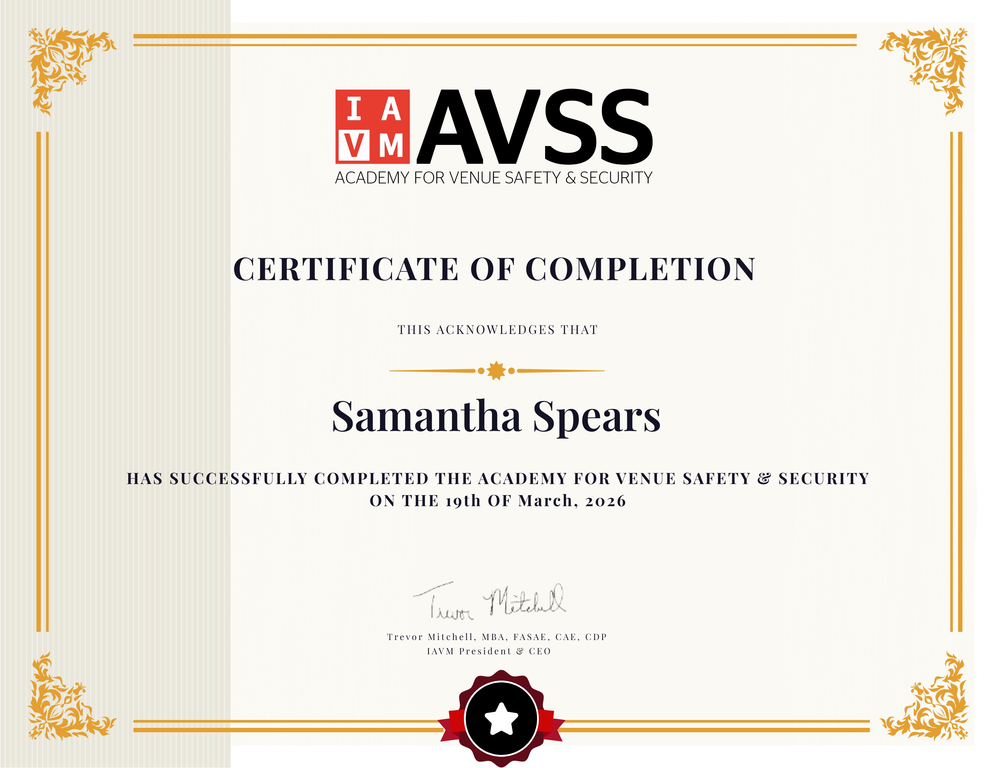 AVSS 2026 - YEAR 2